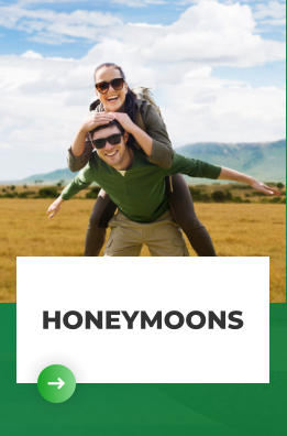 HONEYMOONS