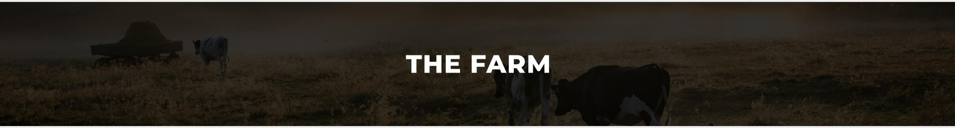 THE FARM